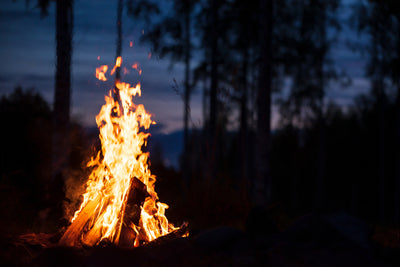 How to Prevent Wildfires While Camping: A Comprehensive Guide