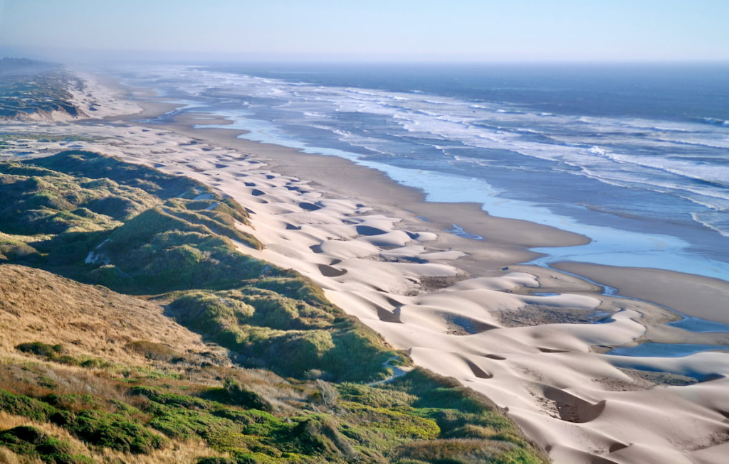 Oregondunes