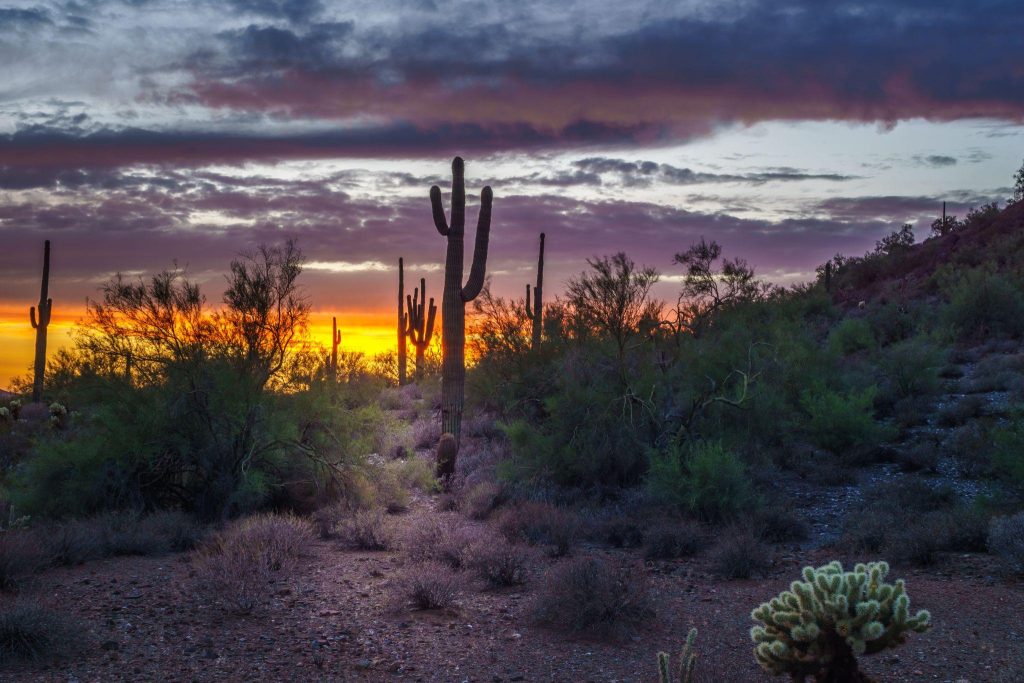 Quartzsite